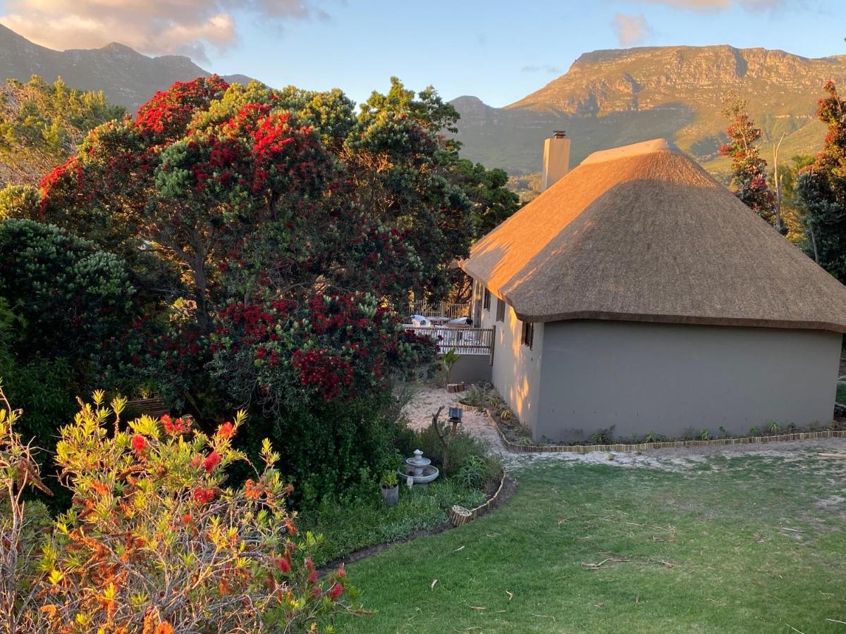 Wild Rose Country Lodge Noordhoek Eksteriør bilde
